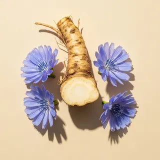 Inulin — Chicory Root
