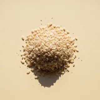 Psyllium Husk — Plantago ovata