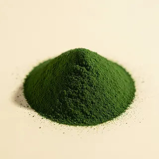 Chlorella — Chlorella vulgaris